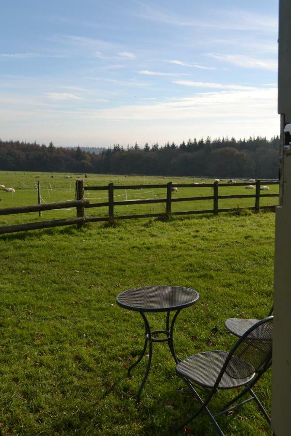 Hotel Shepherd'S Hut Blandford Forum Exterior foto