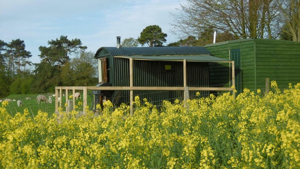 Hotel Shepherd'S Hut Blandford Forum Exterior foto